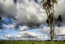 水晶宫防线出现漏洞，急需补强