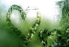 澳大利亚射击队表现抢眼，夺得铜牌