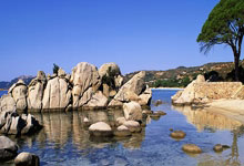 贵州恒丰对决大阪钢巴，赛场之上谁能称王？