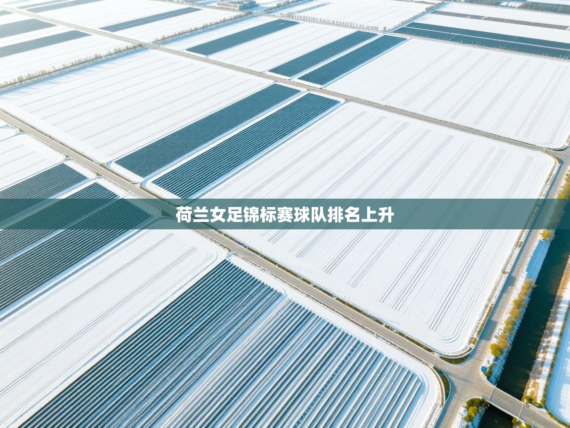 荷兰女足锦标赛球队排名上升  第1张