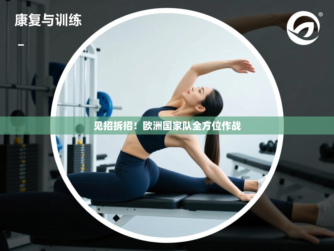 见招拆招!欧洲国家队全方位作战 第1张
