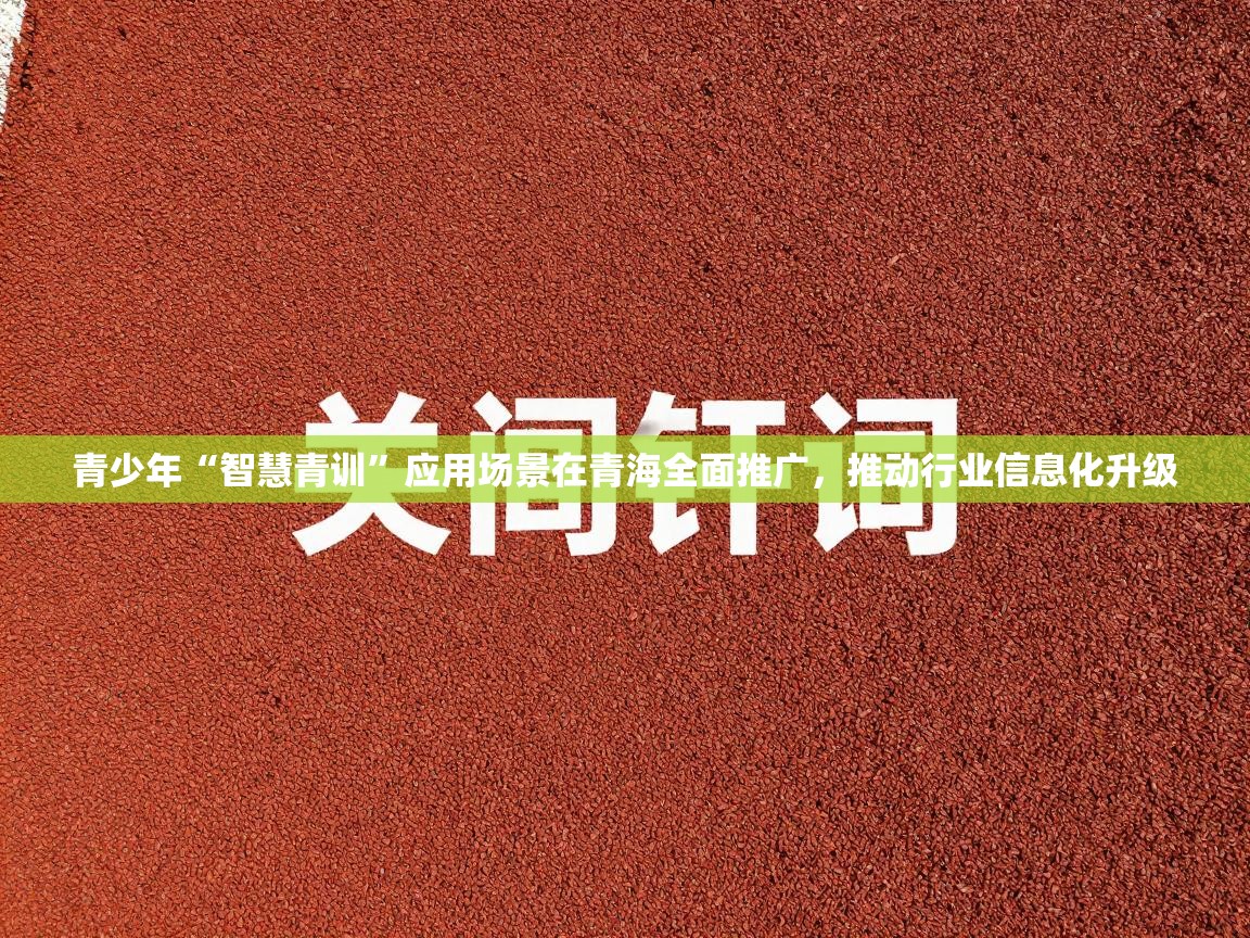 青少年“智慧青训”应用场景在青海全面推广,推动行业信息化升级 第2张